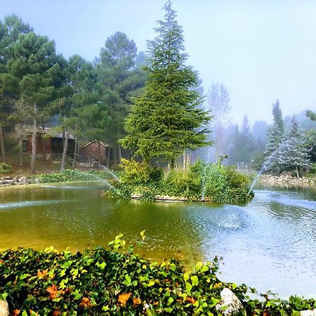 Chalet Esmeralda 3 D Y 2 Banos Zafiro Lagunazo Parque Natural Rio Mundo Riopar Luaran gambar