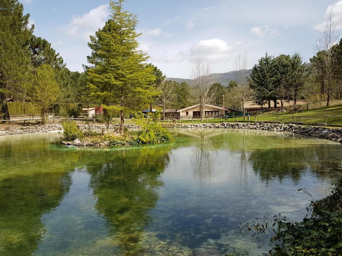 Chalet Esmeralda 3 D Y 2 Banos Zafiro Lagunazo Parque Natural Rio Mundo Riopar Luaran gambar
