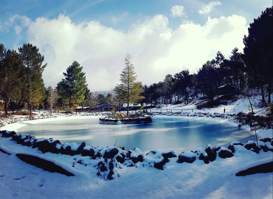 Chalet Esmeralda 3 D Y 2 Banos Zafiro Lagunazo Parque Natural Rio Mundo Riopar Luaran gambar
