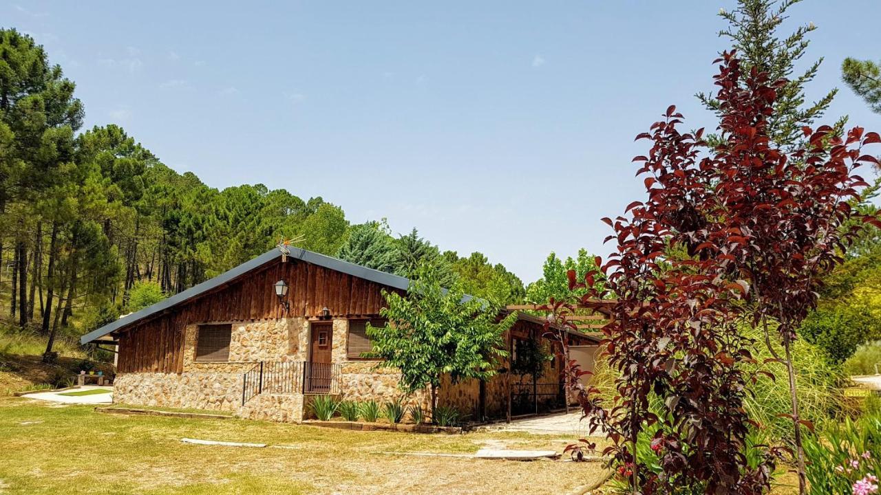 Chalet Esmeralda 3 D Y 2 Banos Zafiro Lagunazo Parque Natural Rio Mundo Riopar Luaran gambar