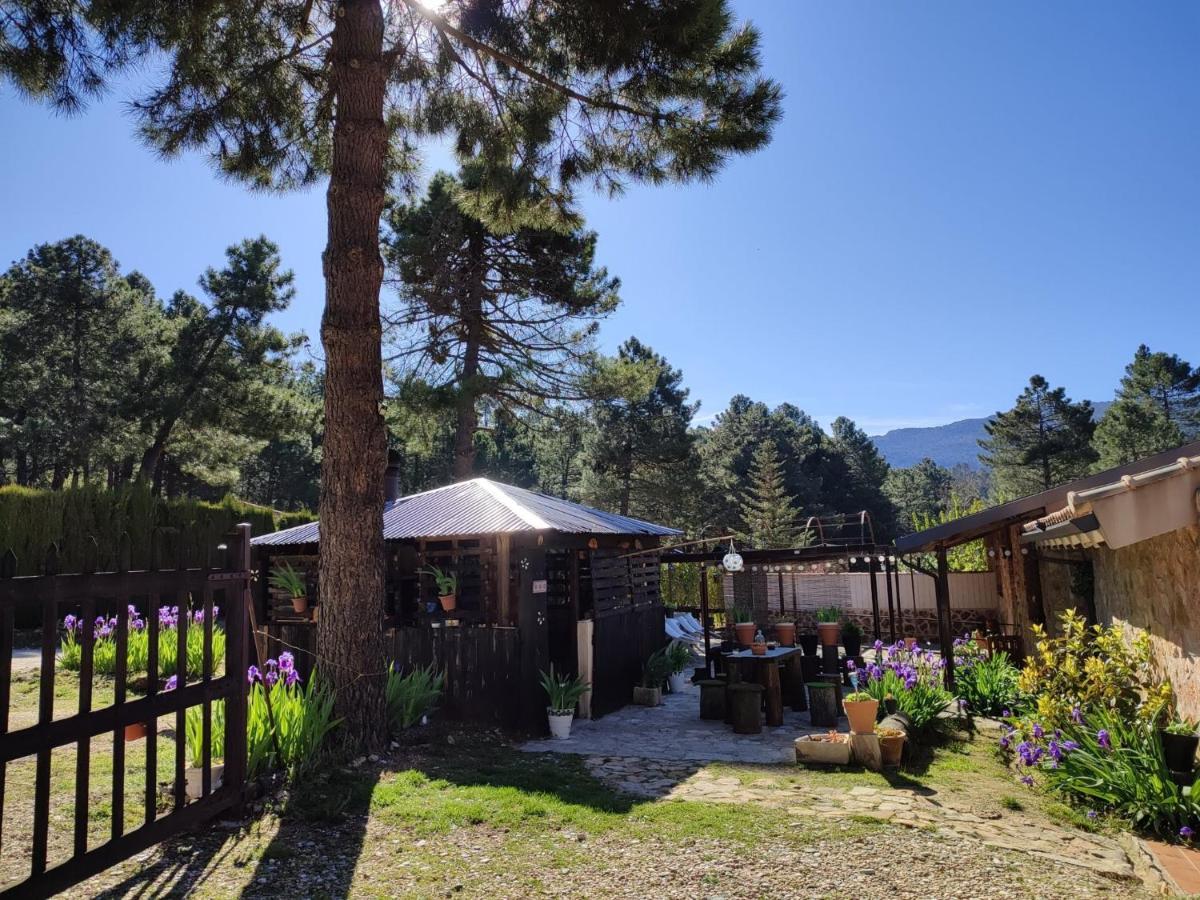 Chalet Esmeralda 3 D Y 2 Banos Zafiro Lagunazo Parque Natural Rio Mundo Riopar Luaran gambar