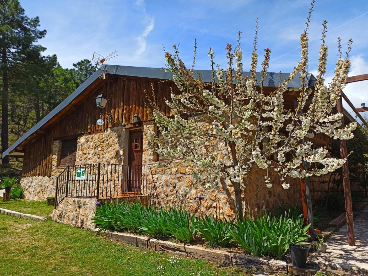 Chalet Esmeralda 3 D Y 2 Banos Zafiro Lagunazo Parque Natural Rio Mundo Riopar Luaran gambar