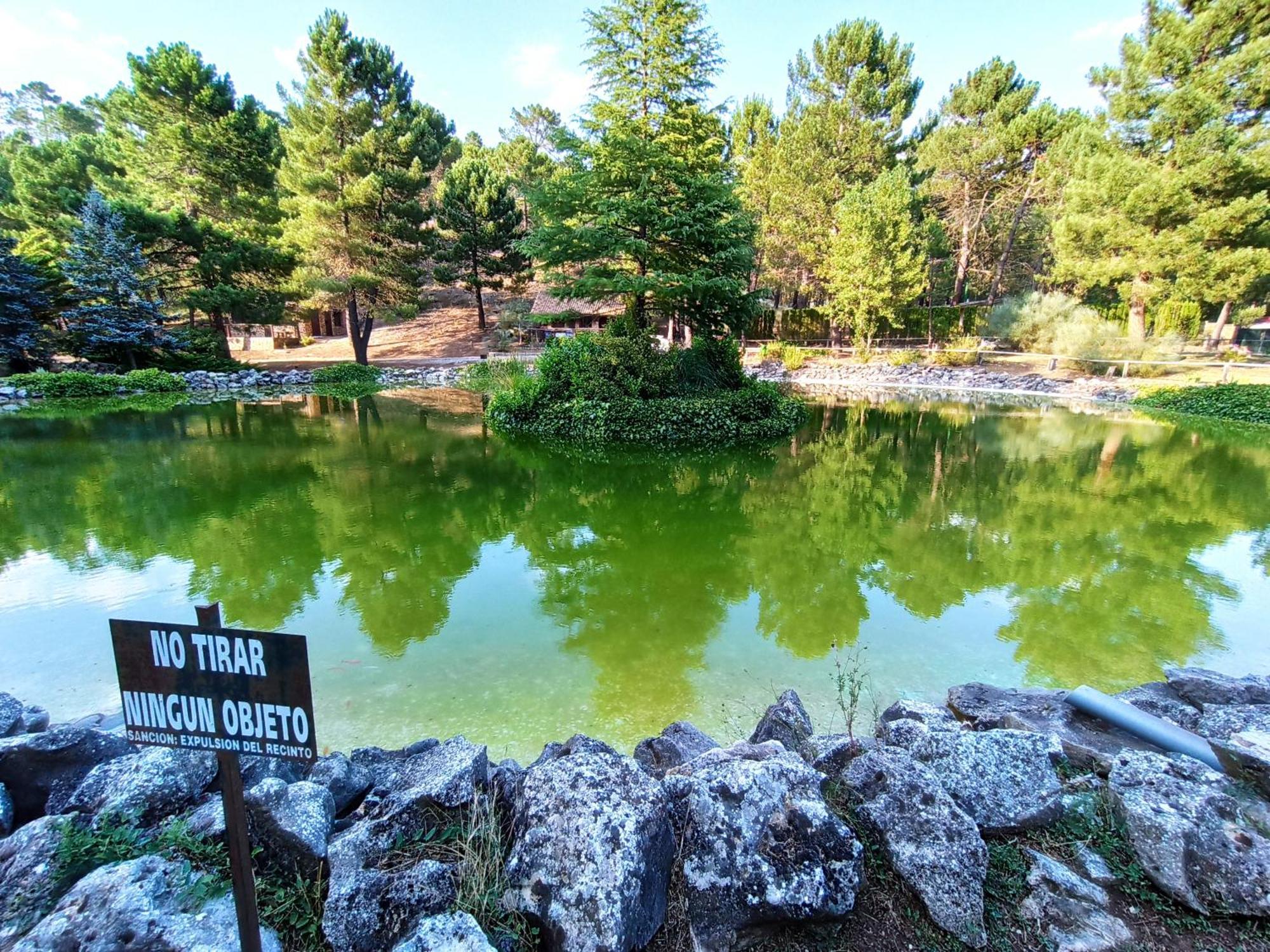 Chalet Esmeralda 3 D Y 2 Banos Zafiro Lagunazo Parque Natural Rio Mundo Riopar Luaran gambar